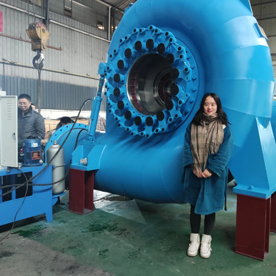 품질  Reliable Water Turbine Generator For Various Speeds And Frequencies 공장
