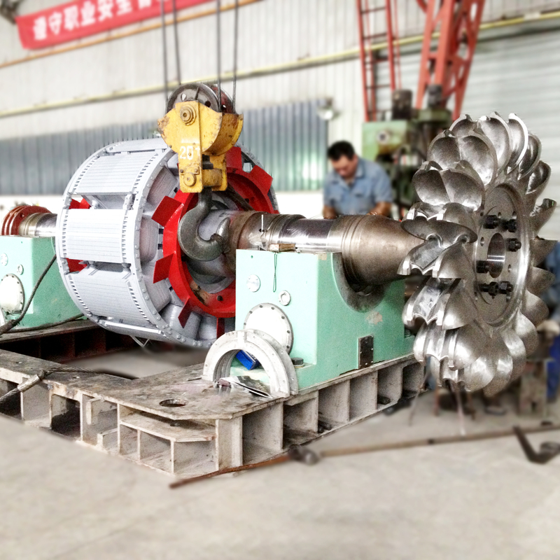 6-10kV 등급 전압 펠튼 휠 터빈 발전기