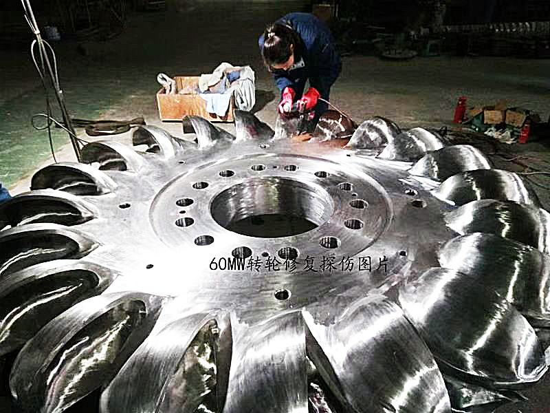 속도 펠튼 터빈 발전기 6-10kV 등급 전압 500-3000r/min 속도 범위