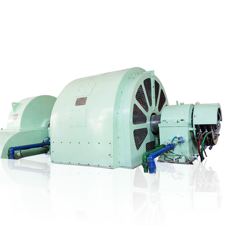 스테인리스 스틸 구조로 100kW-50MW 펠튼 타입 터빈 발전기