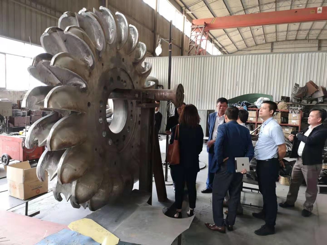 100kw-50mw 6-10kV F 등급 주파수 스테인리스 스틸 러너와 함께 펠튼 터빈 발전기