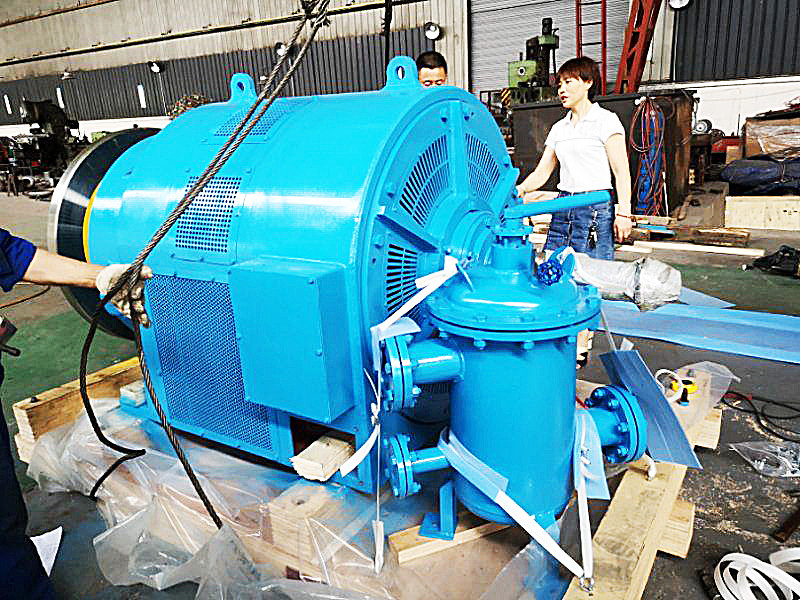 수직 물 터빈 발전기 200kw-20mw 전력 출력 등급 주파수 50Hz/60Hz 사용자 정의 색상 공기/물