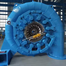 맞춤형 200kw-20mw 물 머리 수력 터빈 발전기 스테인리스 스틸 RPM 450-1000 50HZ/60HZ 주파수