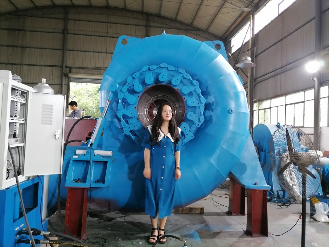 자동 / 수동 물 터빈 발전기 450-1000RPM 등급 전압