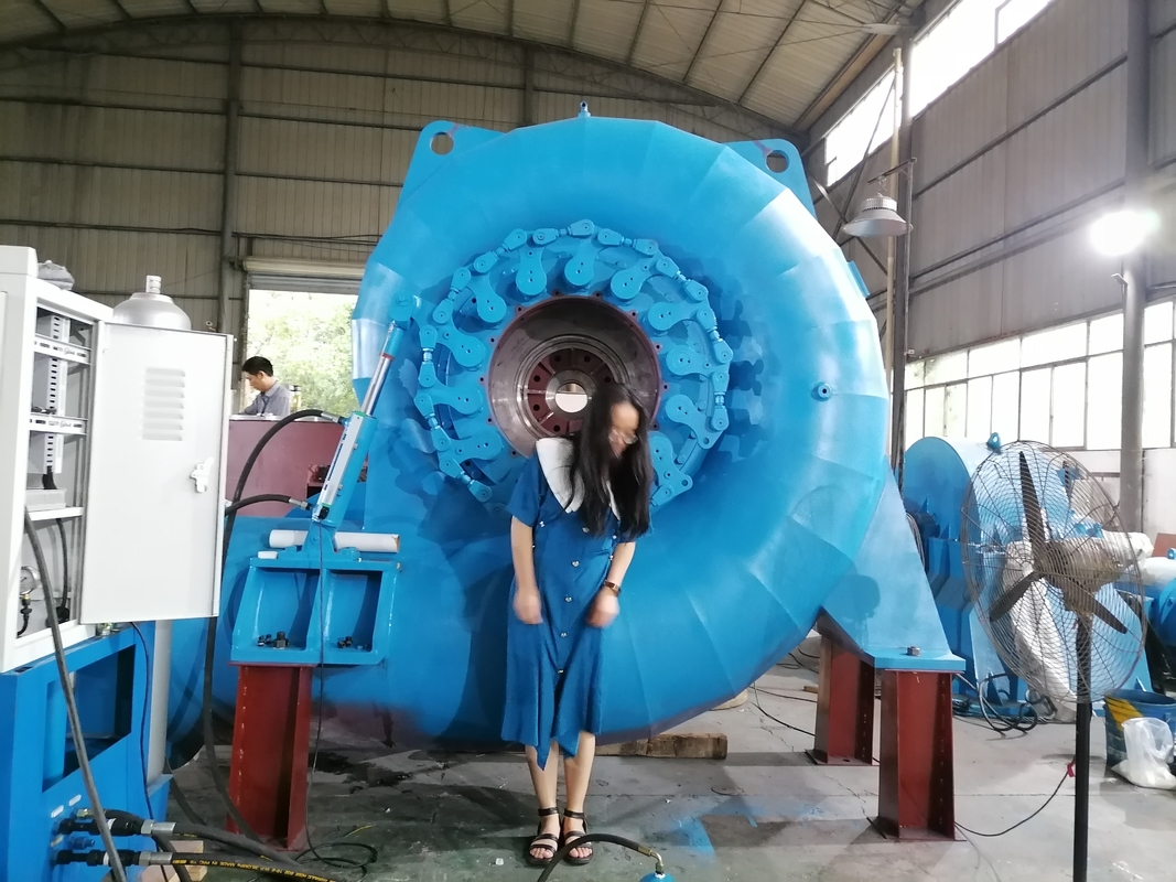 지속가능한 에너지 생산을 위한 220V~690V 전압 물 터빈 발전기