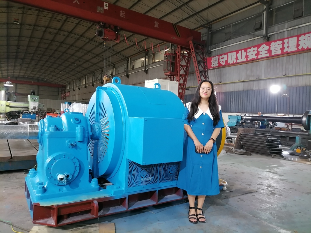 공기 / 물 냉각 물 터빈 발전기 200kw-20mw 등급 주파수 50Hz/60Hz