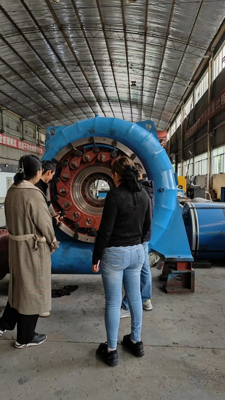 200kw-20mw 물 터빈 발전기 수직 / 수평 설치