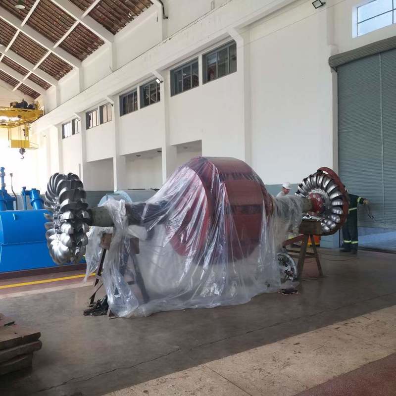 환경 친화적인 펠튼 터빈 발전기