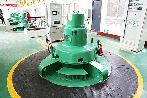 주문 제작된 카프란 수력 발전 터빈 발전기 낮은 유속 100kw~70mw