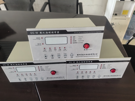 플랜지 끝 물 터빈 발전기 위한 새로운 흥분 조절기