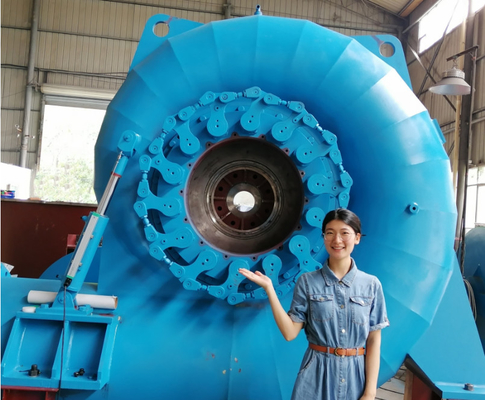 자동 수동 제어 장치와 함께 450-1000 RPM 물 터빈 발전기