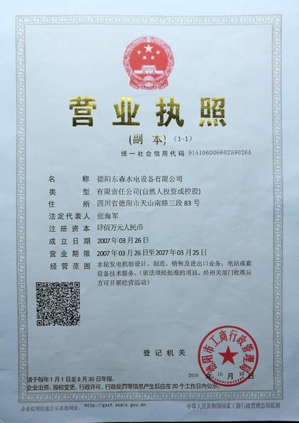 중국 Deyang Dongsen Hydropower Equipment Co., Ltd. 인증